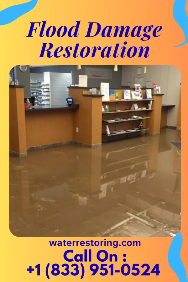 Flood Damage Restoration in Bay View, MI