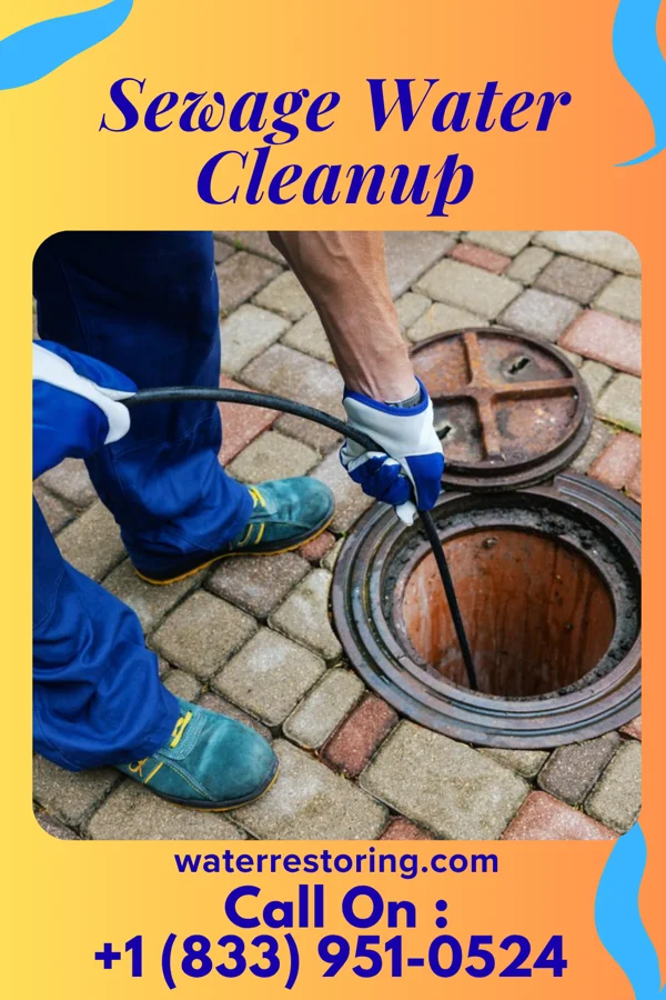 Sewage Water Cleanup in Bay View, MI