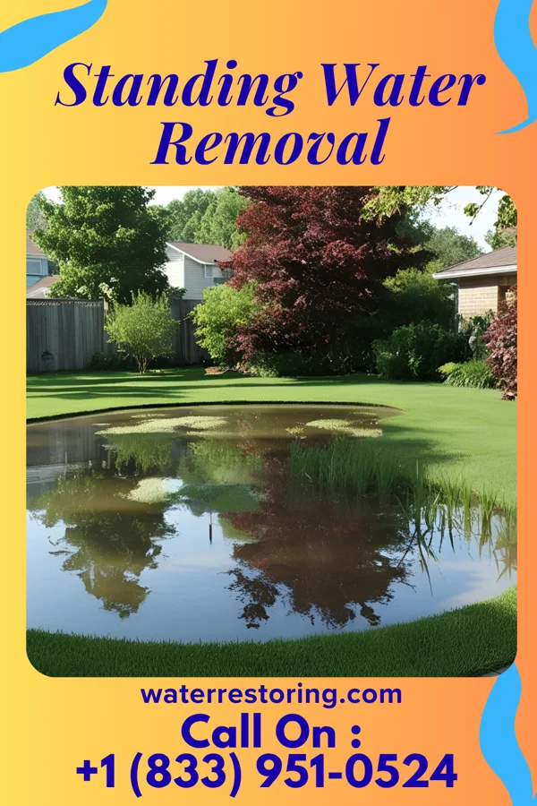 Standing Water Removal in Bay View, MI